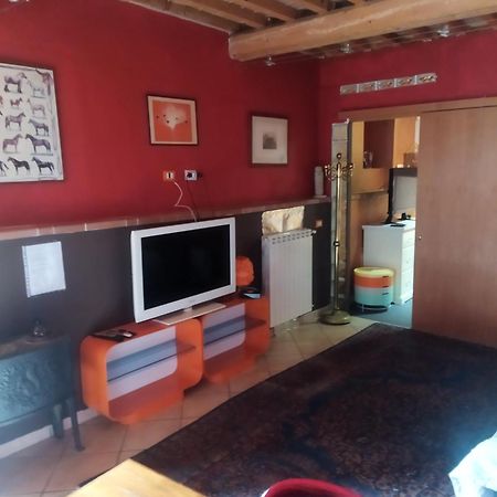 Loft 70 Apartment Montescudaio Bagian luar foto